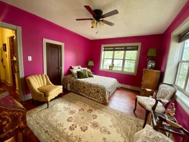 Rock Cottage Gardens B&B ユリーカ・スプリングス エクステリア 写真